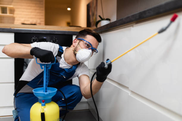 Best Pest Removal Services  in Harb, OR