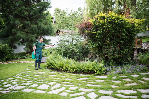 Best Local Pest Control Services  in Harb, OR