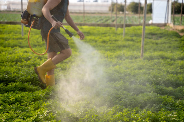 Best Pest Removal Services  in Harb, OR