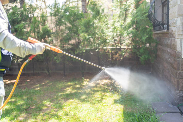 Best Pest Control Near Me  in Harb, OR