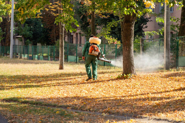 Best Affordable Pest Control Services  in Harb, OR