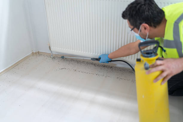 Best Ant Control Services  in Harb, OR
