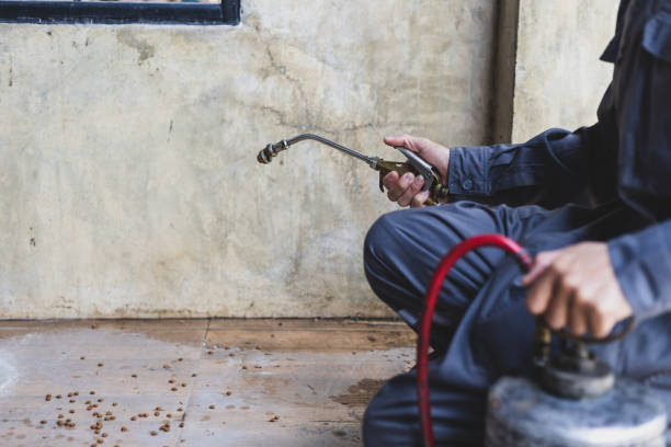 Best Wasp Removal Services  in Harb, OR